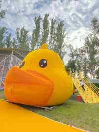 瀋陽小黃鴨親子樂園｜萌娃撒歡勝地，親子溫馨時光的奇妙之境！。
