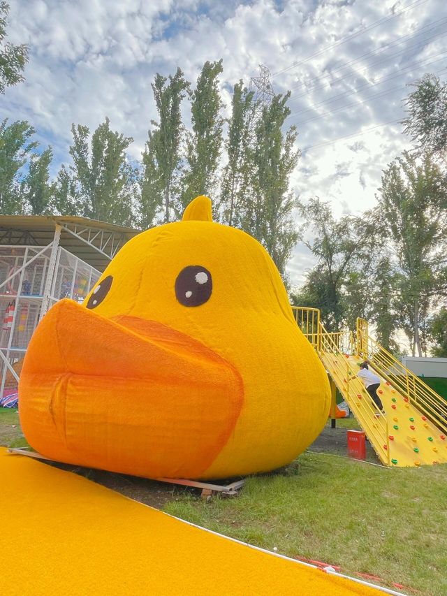 瀋陽小黃鴨親子樂園｜萌娃撒歡勝地，親子溫馨時光的奇妙之境！。