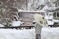 Discovering the Hidden Hot Springs of Akita's Nyuto Onsen Village in Japan