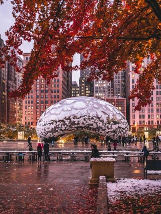 Chicago travel guide. 