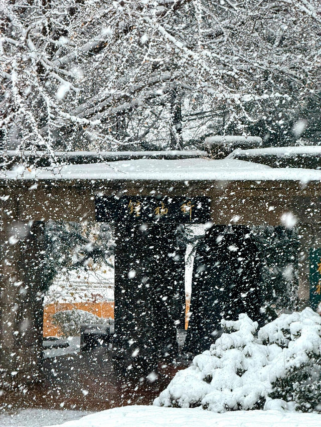 大連初雪絕美 勞動公園張張封神！