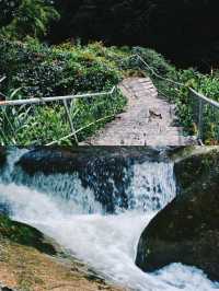 探秘南昌後花園：梅嶺之美。
