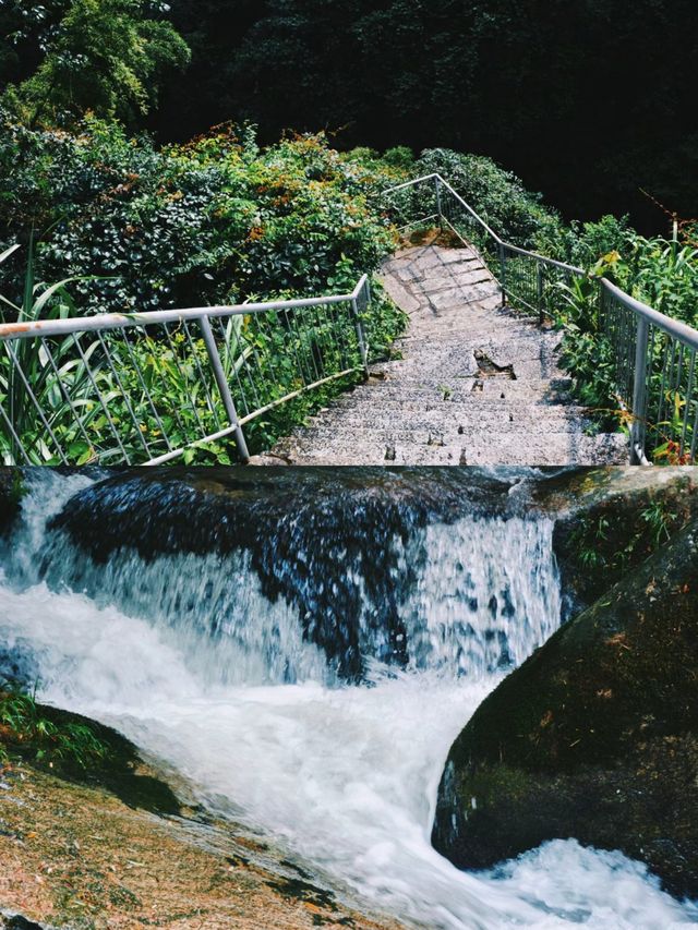 探秘南昌後花園：梅嶺之美。