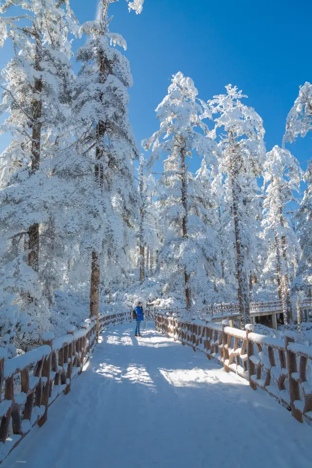 瓦屋山冰雪嘉年華||南國冰雪盛宴。