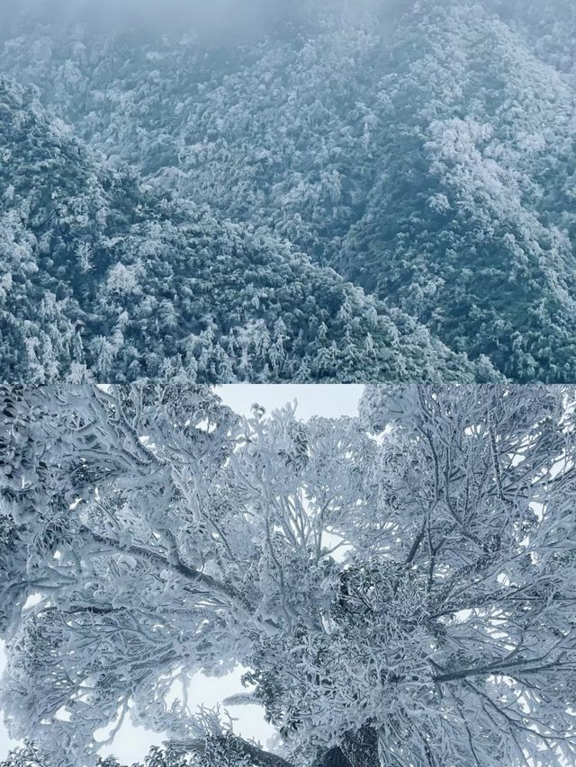 廣東也能看到雪，不是親眼目睹都不相信