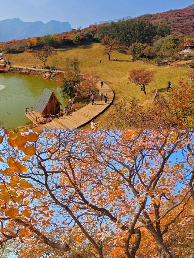 坡峰嶺超全遊玩攻略來啦