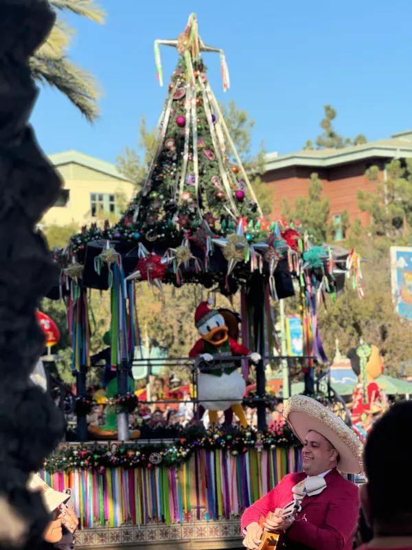 A Day at California Disneyland: 16 Rides and More!
