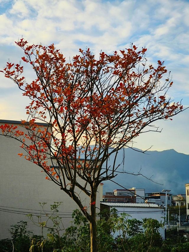 隱藏在廣東的絕美秘境