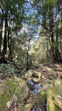雲南小眾 玉溪新平茶馬古道遊園