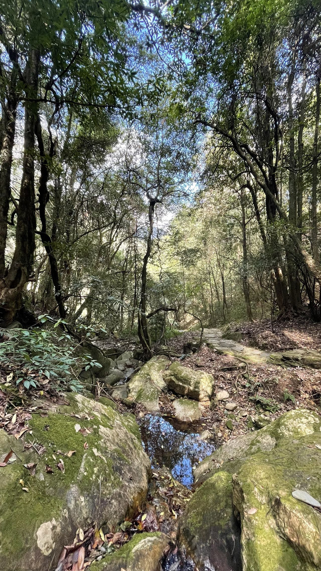 雲南小眾 玉溪新平茶馬古道遊園