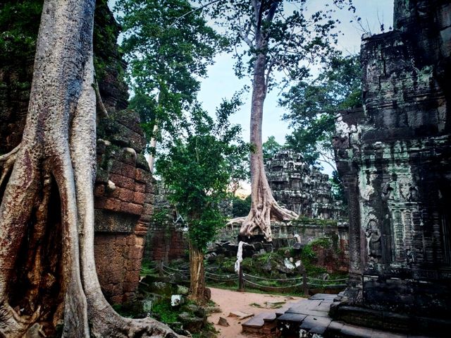 Siem Reap: Amazing Trip of The Year