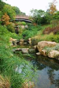 【綠意盎然】廣州雲溪植物園，探索城市綠洲的自然之旅