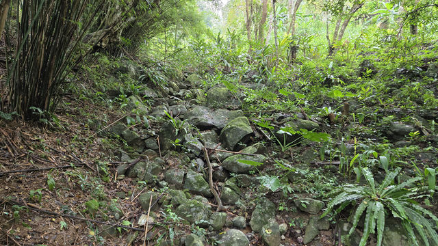 五指山·五指山水滿河熱帶雨林風景區