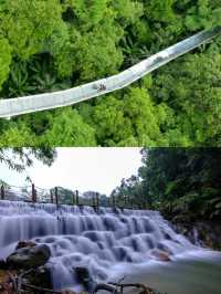 瓊中百花嶺—堪比亞馬遜的熱帶雨林