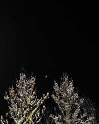 雪國奇遇記：冬日可可托海