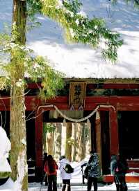 樂在大雪紛飛—日本長野