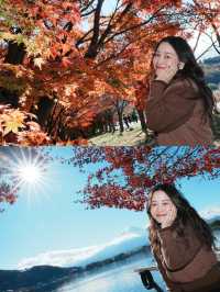 富士山下紅葉季