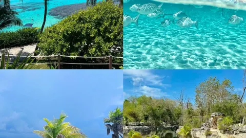Cancun, Mexico: A Dreamy Caribbean Vacation Destination — traveler post in Progreso
