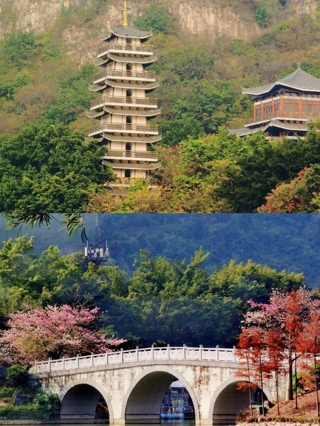 百里柳江，美到心醉！