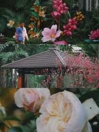 廣州文化公園 | 趁著好天氣趕緊去看花展吧