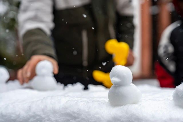 江津四面山下！雪！啦！