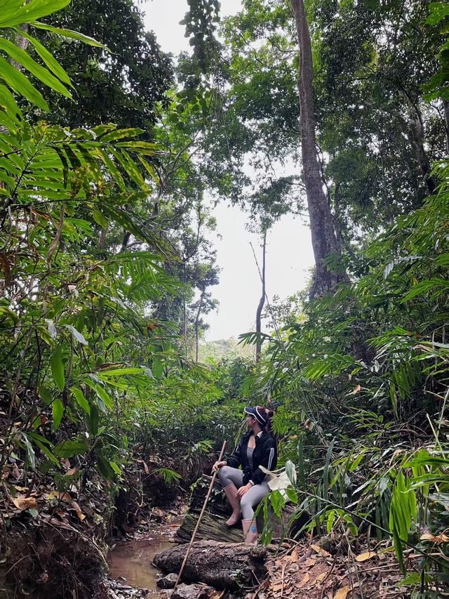 關於叢林探險！我在西雙版納雨林探險！