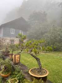 2天速覽九江 玩轉美景不踩坑