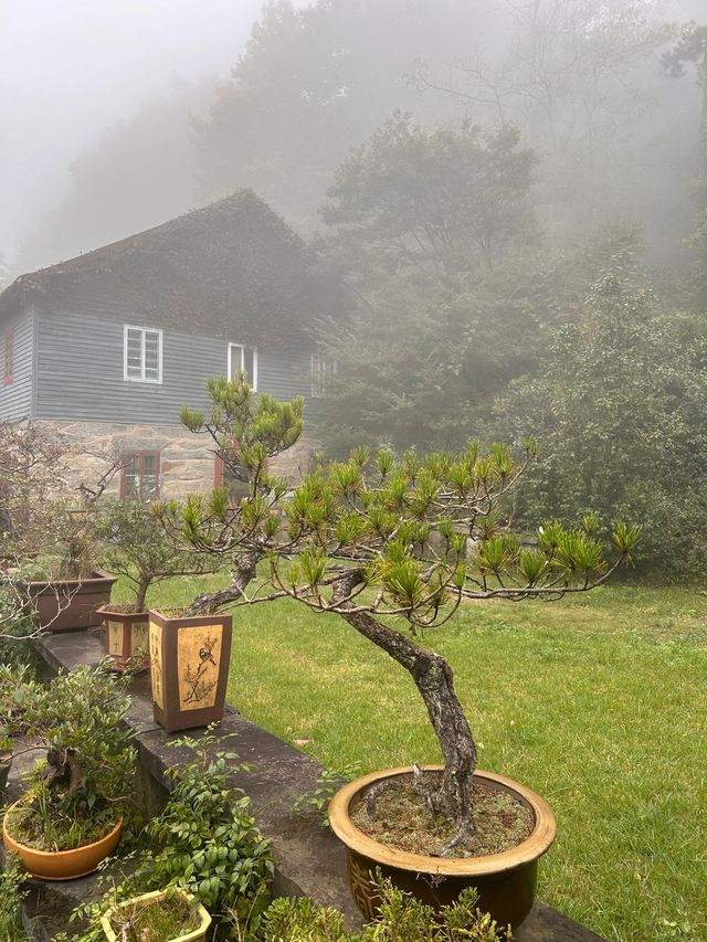 2天速覽九江 玩轉美景不踩坑 2天速覽九江 玩轉美景不踩坑