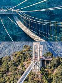 春節尋夢之旅，盡在江西三百山