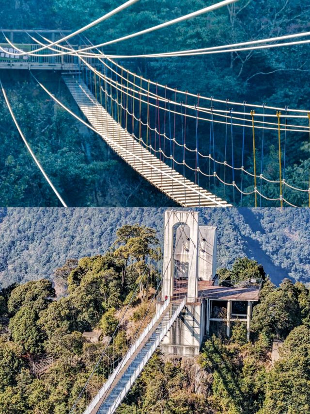 春節尋夢之旅，盡在江西三百山