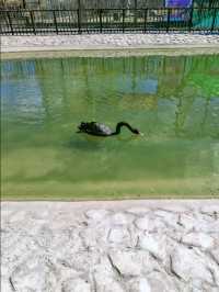 龍沙動植物園：動植物們的可愛小天地