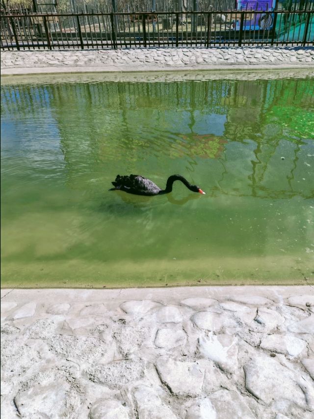 龍沙動植物園：動植物們的可愛小天地