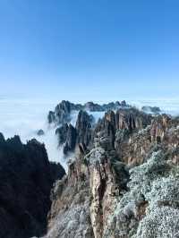 帶娃探秘廬山森林 春節親近大自然