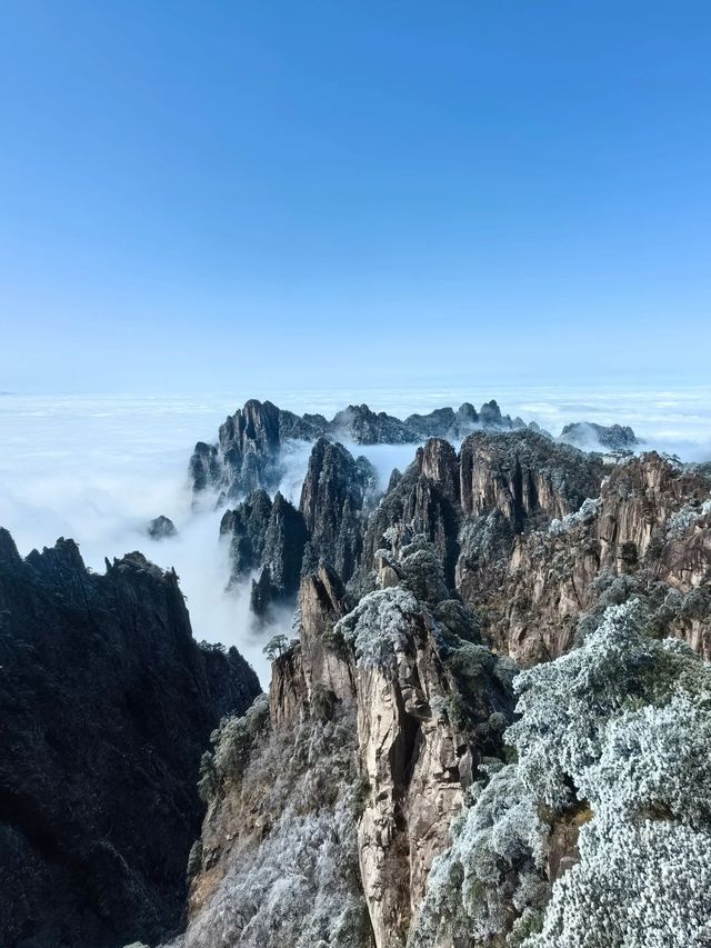 帶娃探秘廬山森林 春節親近大自然