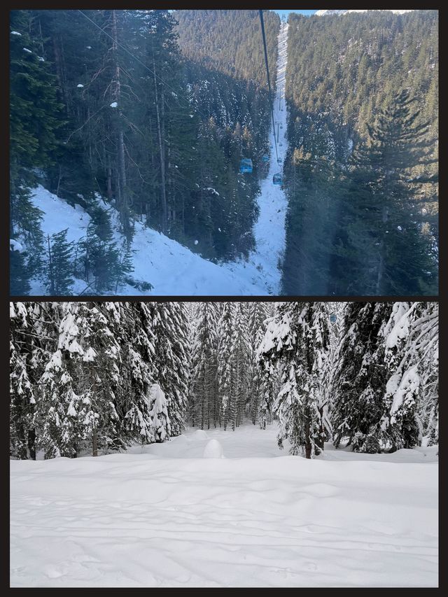 班斯科滑雪記，一次說走就走的冰雪奇緣！