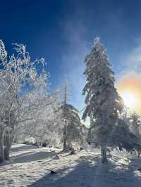 帶娃滑雪去哈爾濱-雪鄉 必備保姆級攻略來啦