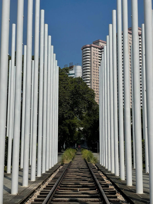 #中山市岐江公園的迷人風采