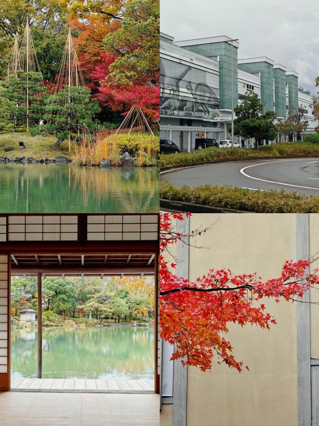 探秘福井：日本小眾旅行的夢幻之境
