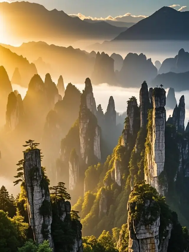 구름 속 선경, 협곡의 절경, 토가족 풍습, "아바타 세계"를 한 번에 잠금 해제