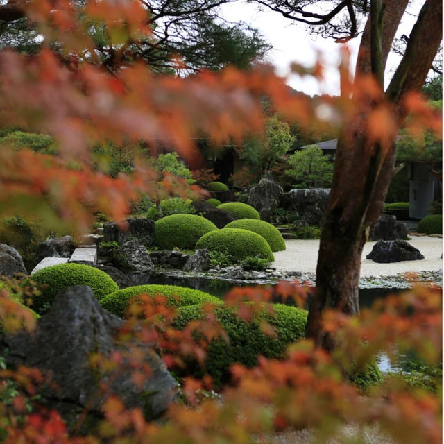 被我找到啦✨日本最美庭院——足立美術館