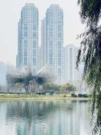 梅溪湖公園｜親子出遊必打卡的寶藏地