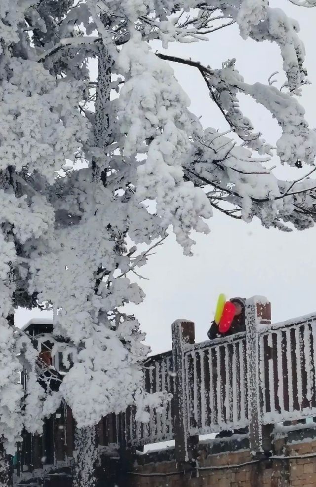 錦里古街和西嶺雪山，遊玩攻略在哪？