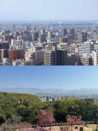松山寶藏旅遊攻略，一篇就夠！
