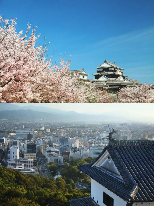 松山寶藏旅遊攻略，一篇就夠！