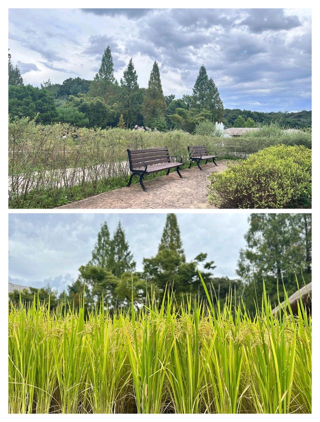 秋天一定要去的韓國富川，美翻了！
