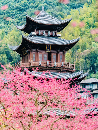 Cherry blossom at Gexian Village | Trip.com Yanshan