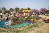 莘莊梅園
