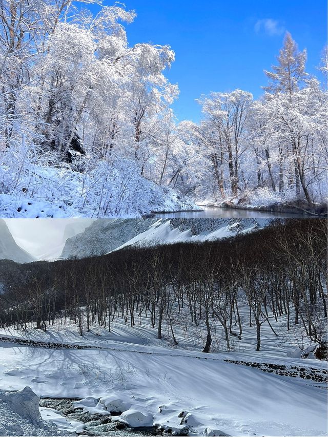 只需到長白山，便能盡享雪景之美