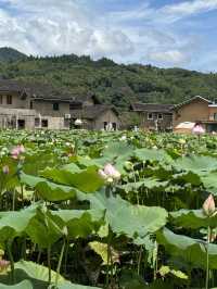廈門-鼓浪嶼-泉州7日遊 玩轉三地不繞路