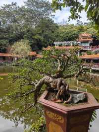 深圳仙湖植物園踏青